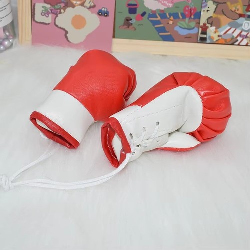 Car boxing gloves - boxing,